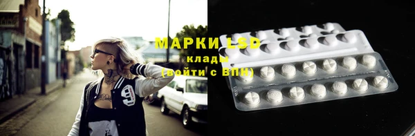 эйфоретик Кукмор