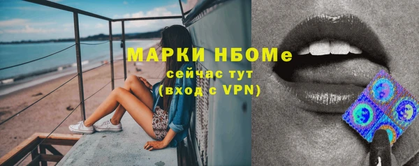 эйфоретик Кукмор