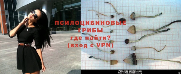 гидропоника Кулебаки