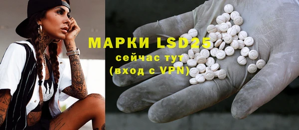 эйфоретик Кукмор
