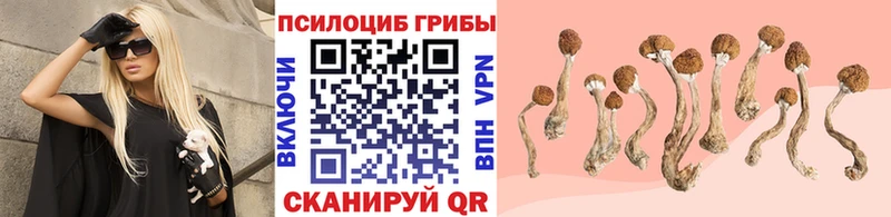 MEGA вход  купить наркоту  Северск  Галлюциногенные грибы прущие грибы 