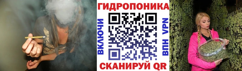 блэк спрут сайт  Северск  Канабис Amnesia  наркошоп 